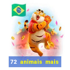 72 animais mais perigosos do mundo